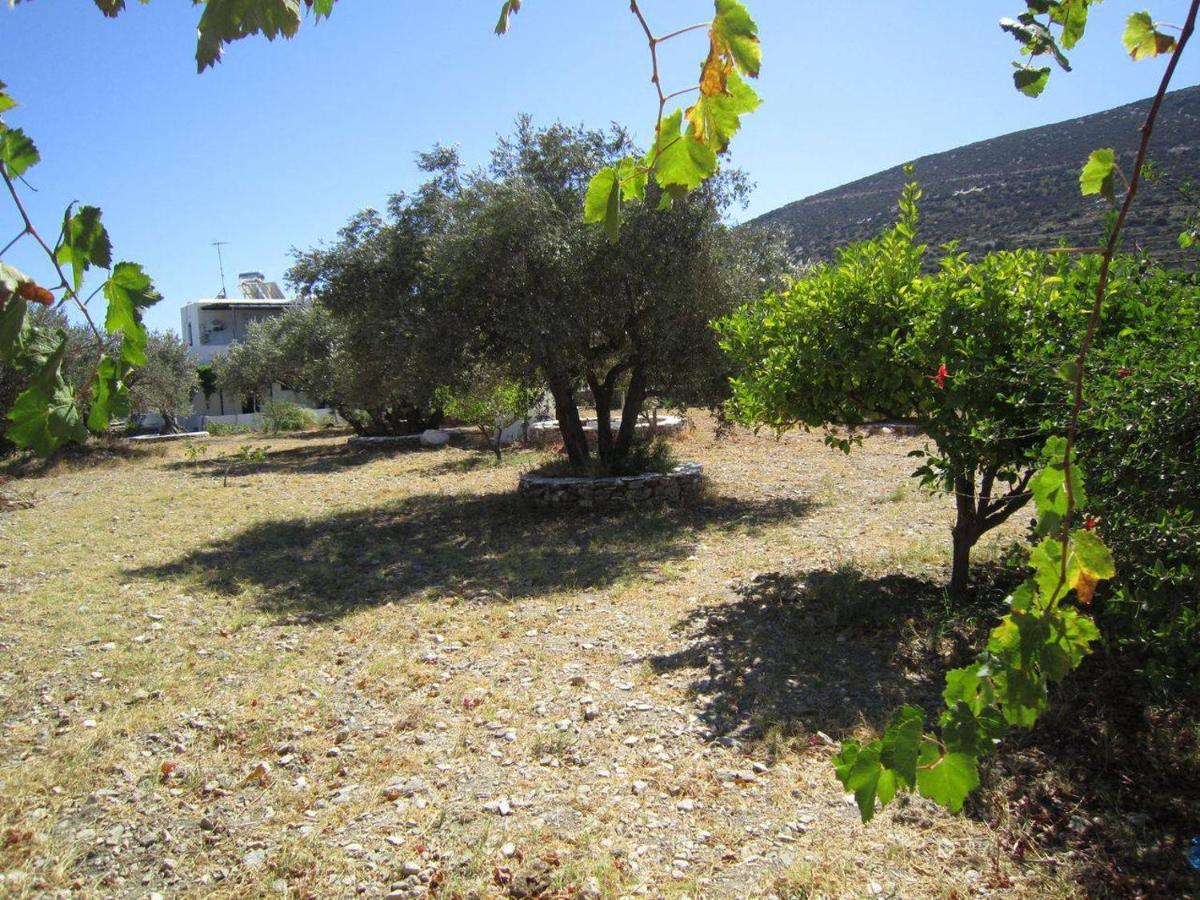 Elisso Villas Platis Gialos  Buitenkant foto