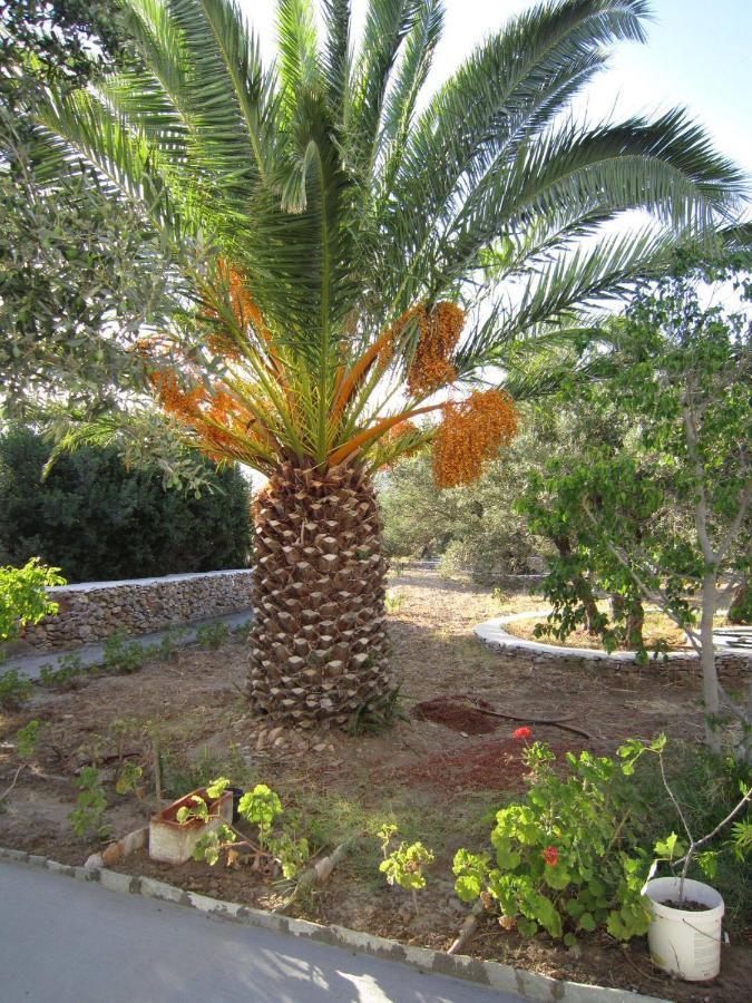 Elisso Villas Platis Gialos  Buitenkant foto