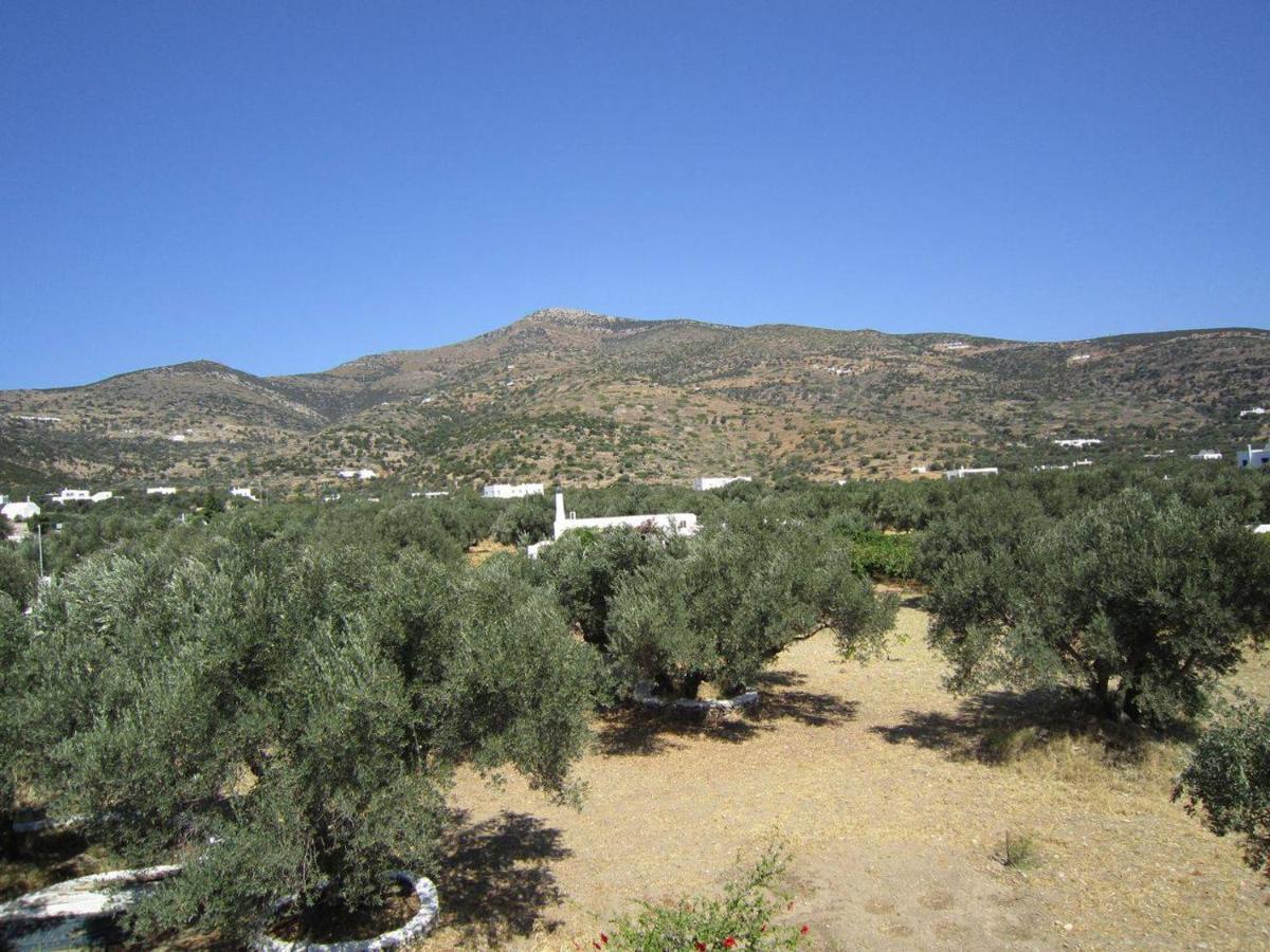 Elisso Villas Platis Gialos  Buitenkant foto