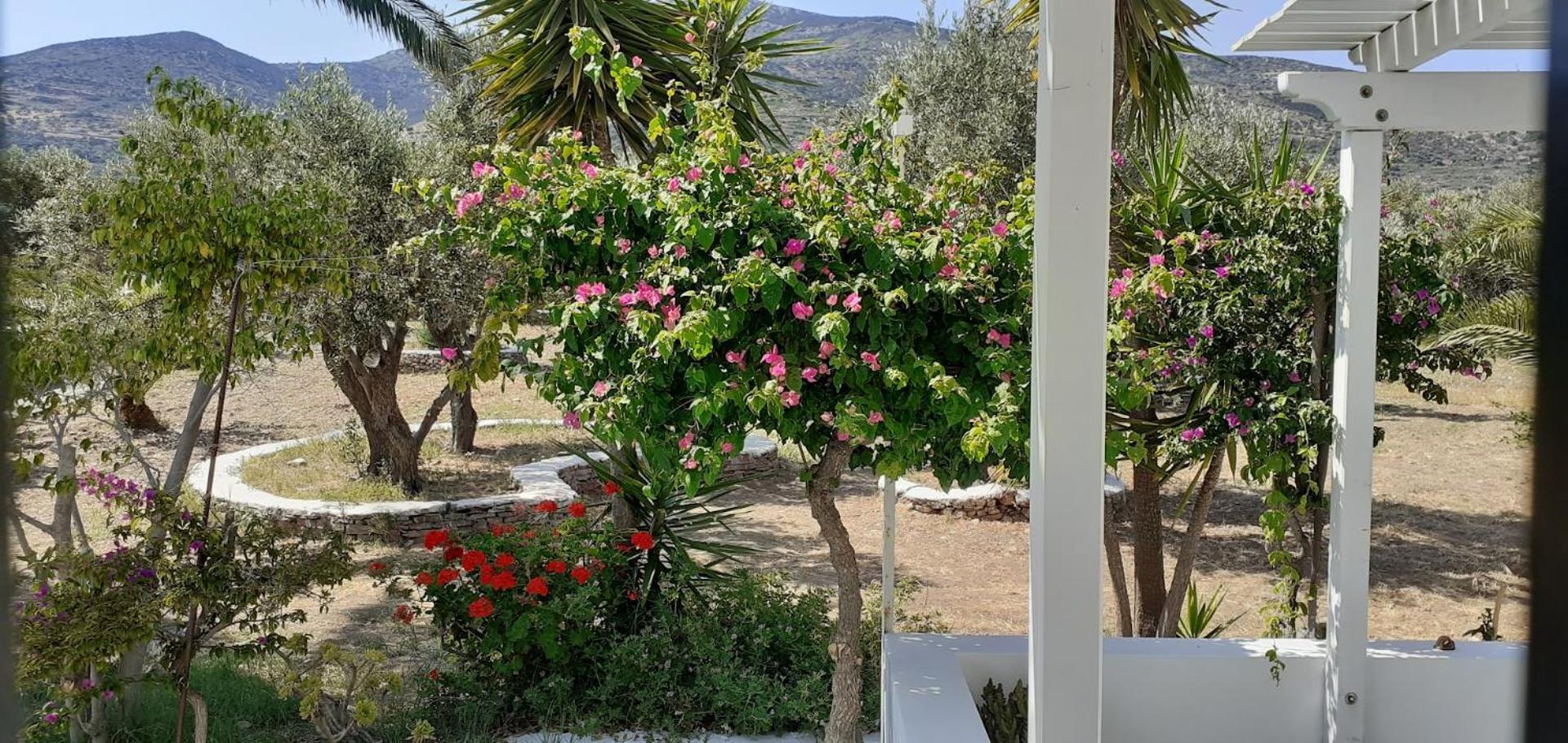 Elisso Villas Platis Gialos  Buitenkant foto