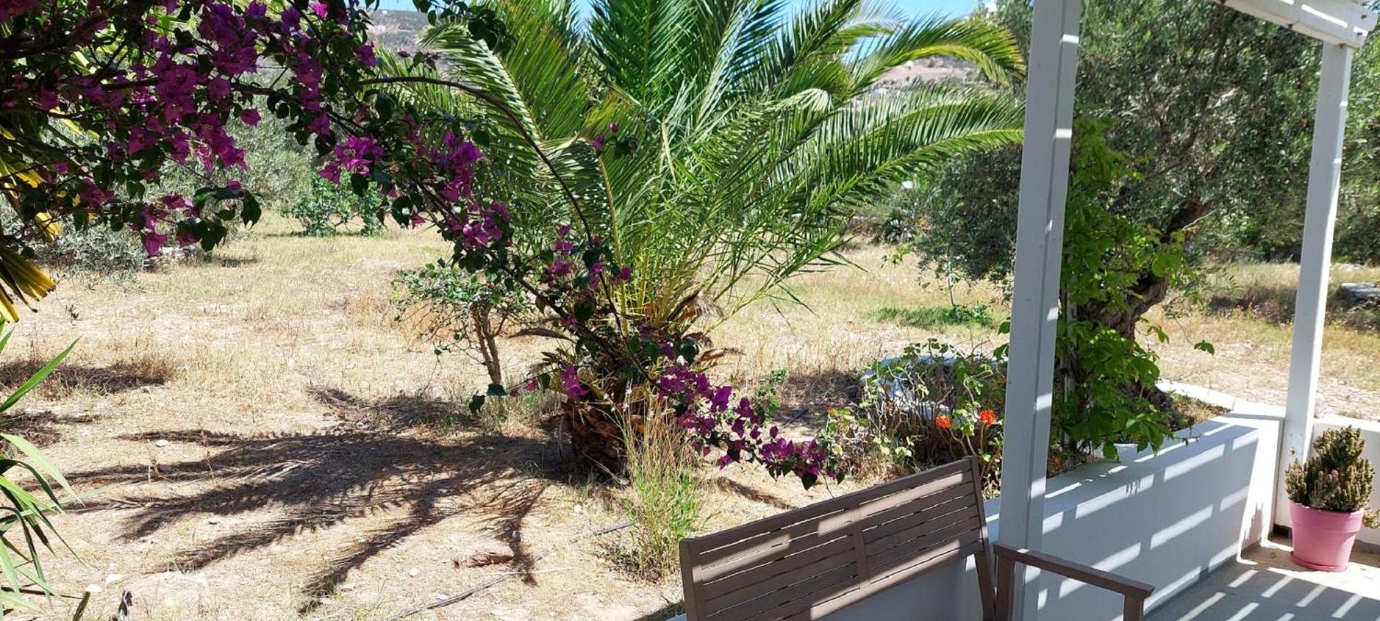 Elisso Villas Platis Gialos  Buitenkant foto